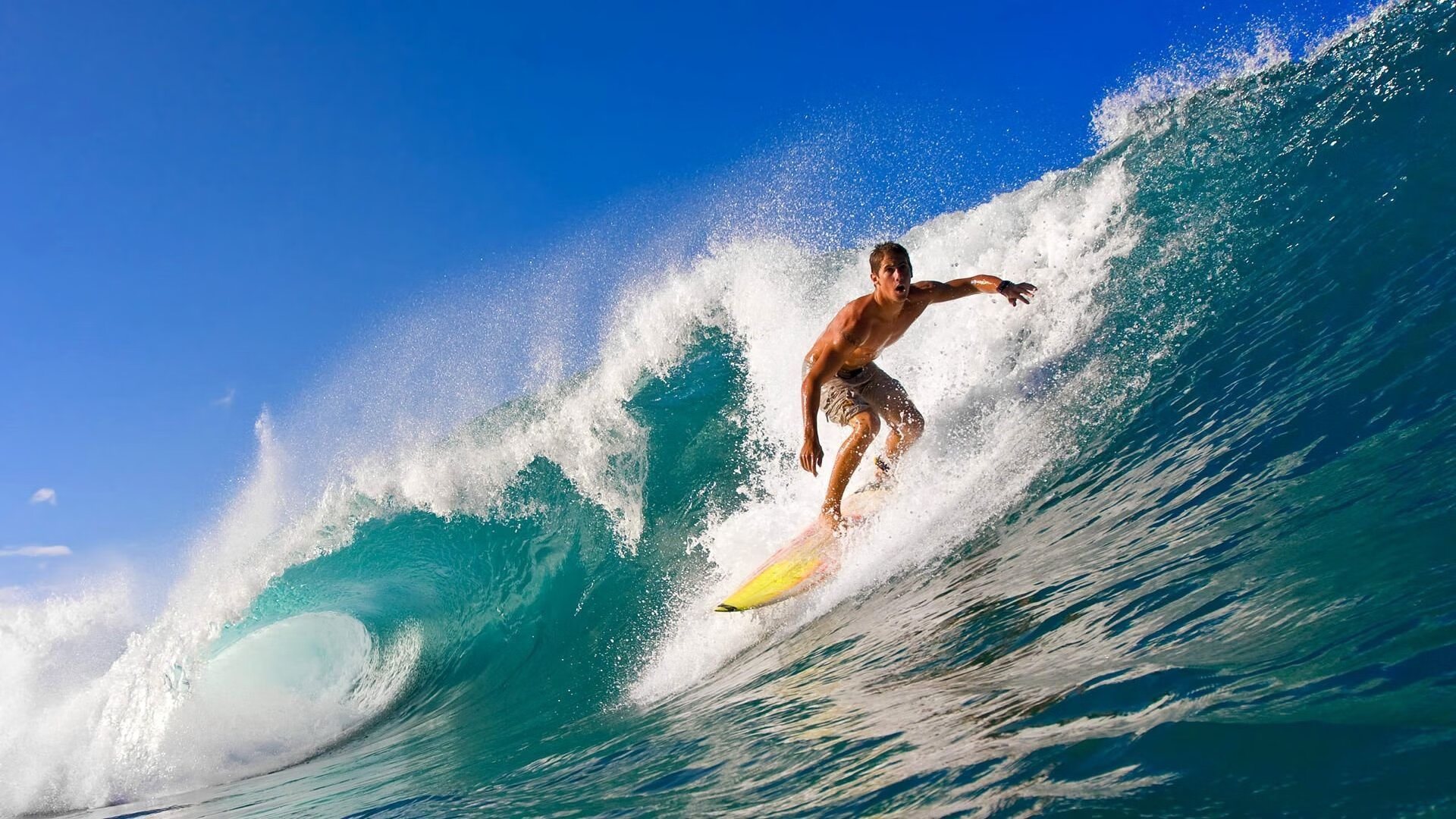 乒乓球机器人亮相助力训练智能升级,trainerbot智能乒乓球机器人